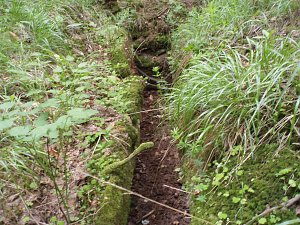  Ende des Obergrabens mit Abflussregulierung
