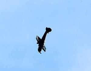 Auflug zum Vatertag
