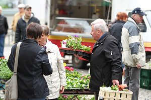 Zwischen Blumen und Fisch