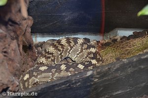 Nordh&auml;user Zoo
