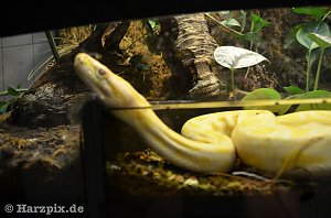 Nordh&auml;user Zoo