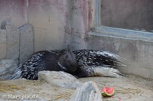 Nordh&auml;user Zoo