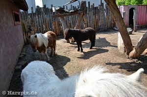 Nordh&auml;user Zoo