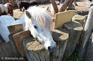 Nordh&auml;user Zoo