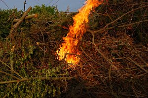 Pfingstfeuer in Obergebra