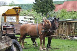 M&uuml;hlentag in Obergebra