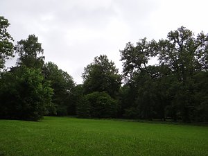 Unterwegs im Park