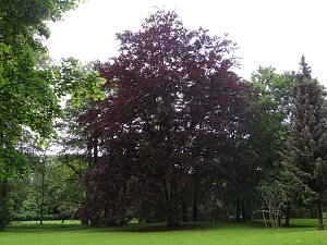 Unterwegs im Park
