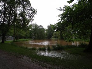 Unterwegs im Park