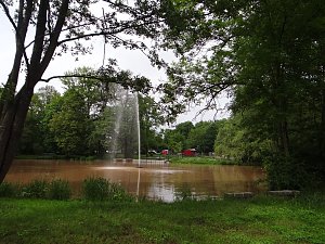 Unterwegs im Park