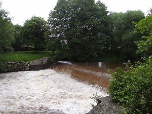 Unterwegs im Park