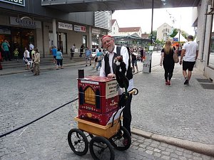 Wie f&auml;llt Zwischenfazit aus?