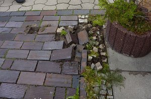 Vandalen in der Altstadt