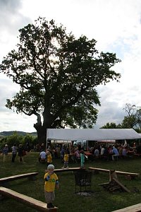 Eichenfest gefeiert