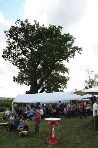 Eichenfest gefeiert