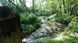 Das Steinm&uuml;hlental