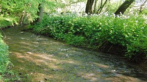 Das Steinm&uuml;hlental
