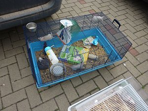 Gerettete Tiere