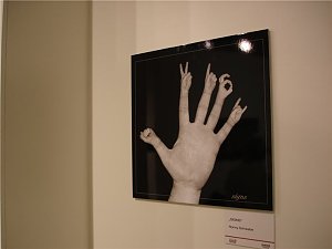 Photokina Köln 2008