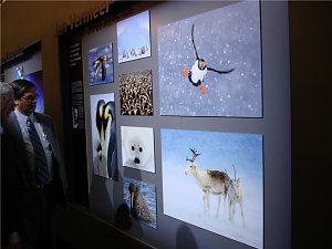Photokina Köln 2008