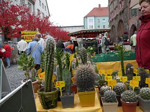 Zwiebelmarkt in Nordhausen