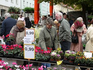 Zwiebelmarkt in Nordhausen