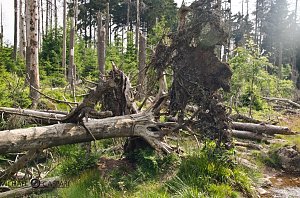 Der Berg ruft
