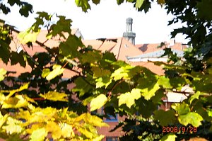 Altweibersommer