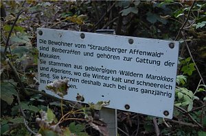 Affenwald Erlebnispark Straußberg