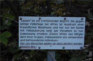 Affenwald Erlebnispark Straußberg