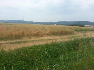 Das Sommerloch?