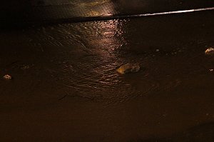 Unwetter in Nordhausen