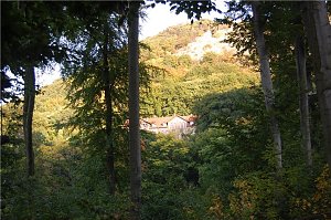 Affenwald Erlebnispark Straußberg