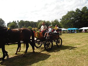 Parkfest in Werna