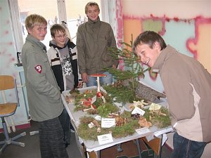 Pilze im Gymnasium