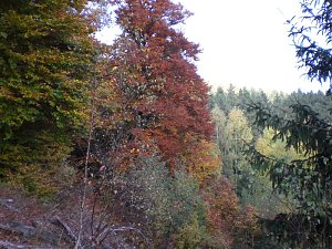 Unterwegs in S&uuml;lzhayn
