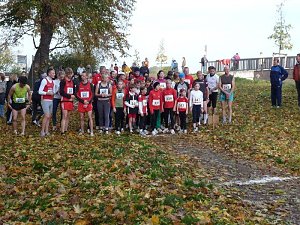 15. Stadtparklauf Sondershausen