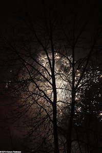Abgefeuert