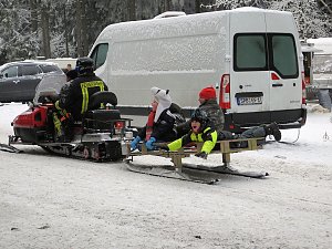 Schlittenhunderennen in Benneckenstein