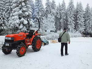 Schlittenhunderennen in Benneckenstein