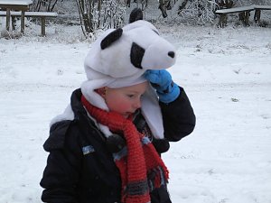 Schlittenhunderennen in Benneckenstein