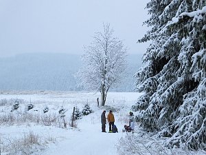Schlittenhunderennen in Benneckenstein