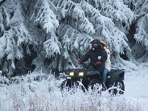 Schlittenhunderennen in Benneckenstein