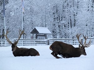 Der Oberharz am Brocken