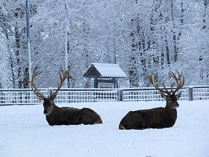 Der Oberharz am Brocken