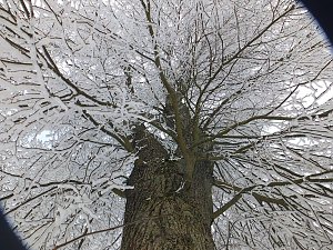 Der Oberharz am Brocken