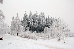 Der Oberharz am Brocken