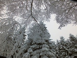 Der Oberharz am Brocken