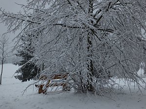 Der Oberharz am Brocken