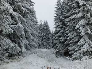 Der Oberharz am Brocken